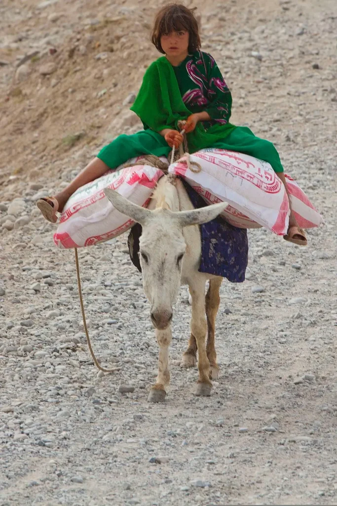 Afghan child ride