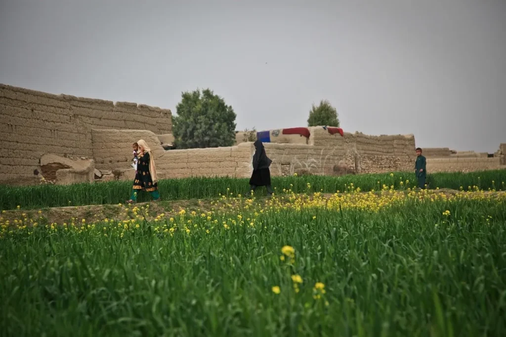 afghanistan AGRI LIFE