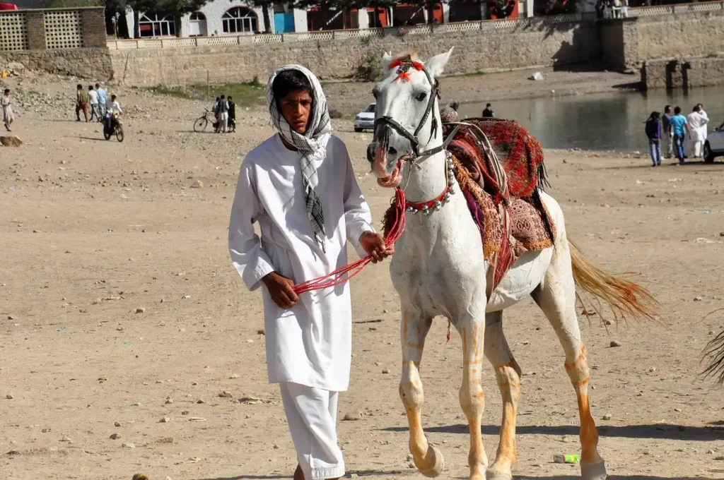 boy with horse