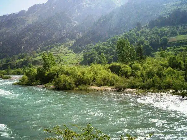 nuristan forest