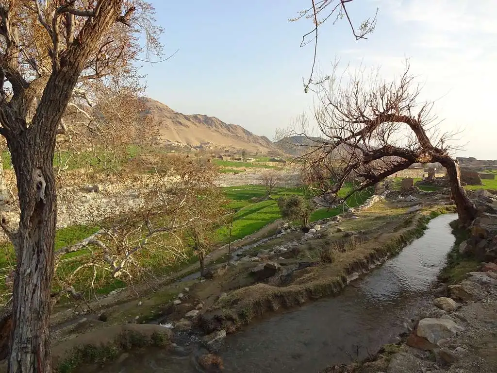 approximately 200 families in nangarhar provinceS