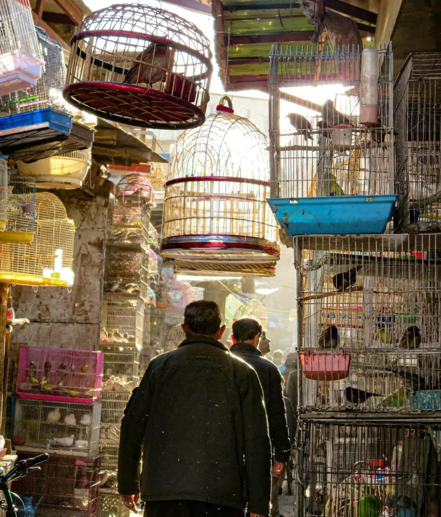 old market kabul